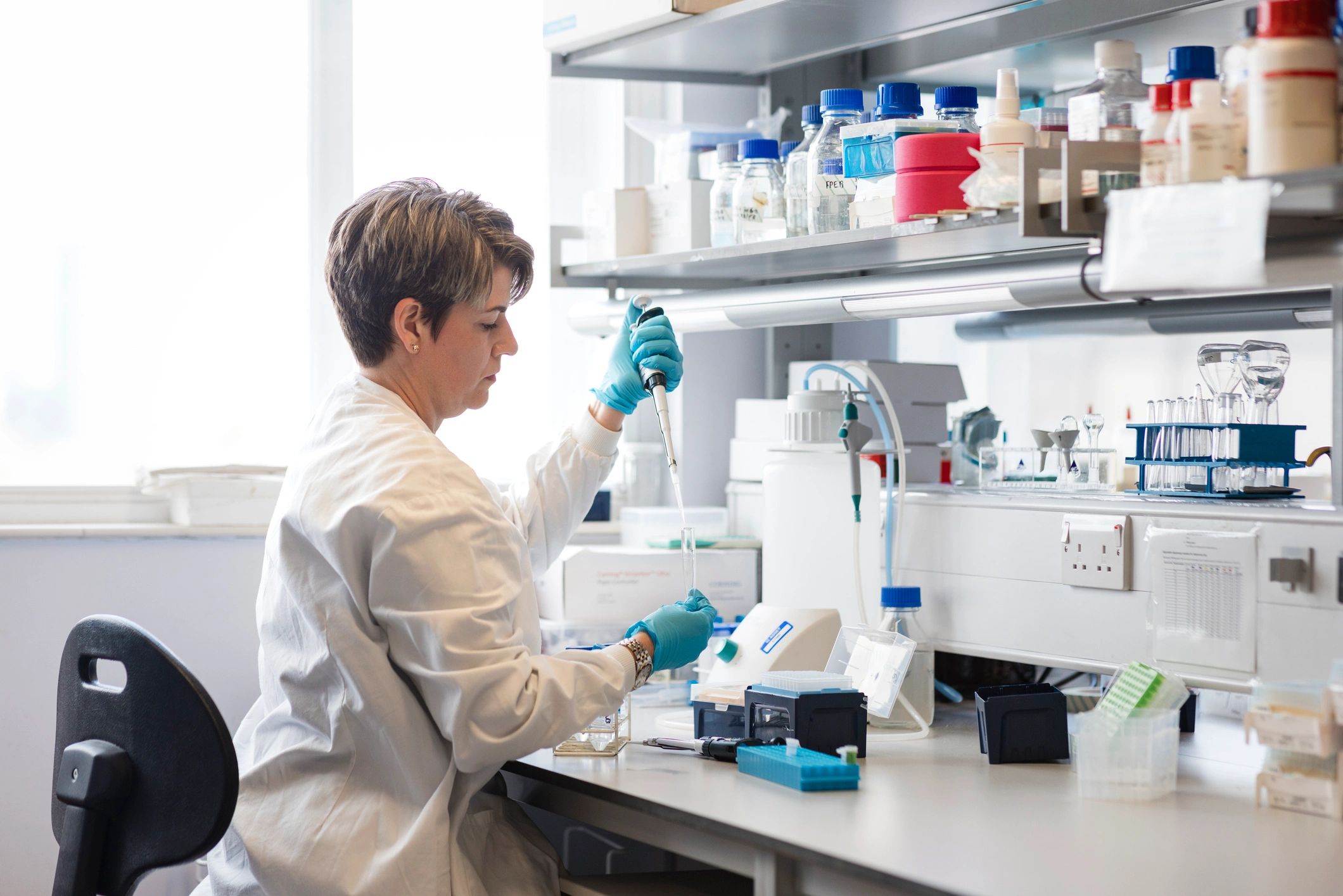 Scientist conducting laboratory testing for food safety