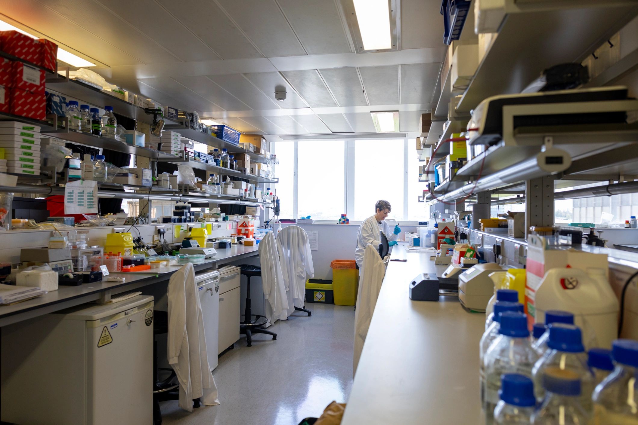 Scientist performing microbiological analysis in a laboratory